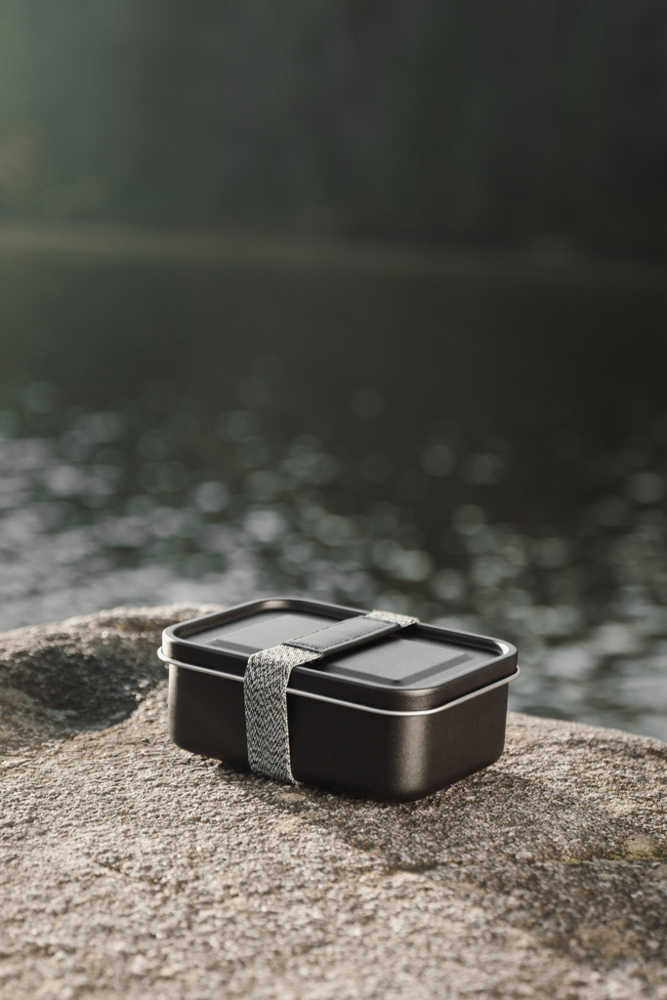 VINGA Parks RCS SS-lunchbox